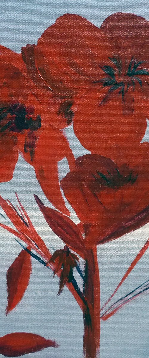 Red Flower by Margaret Denholm