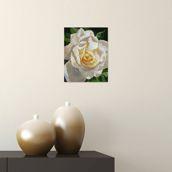 white rose