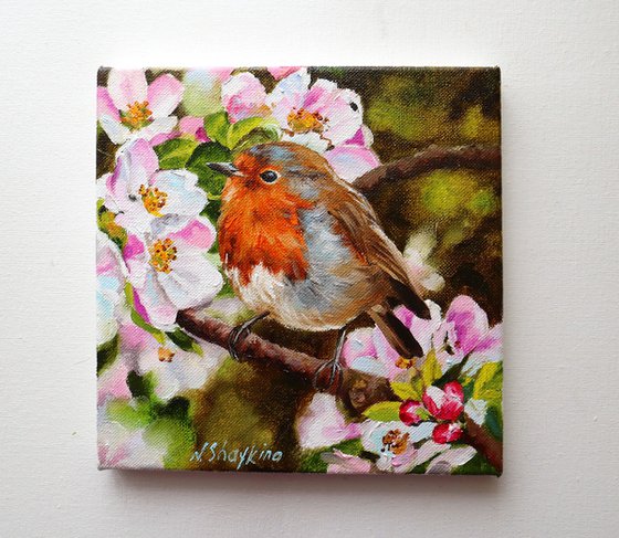 Robin with Apple Blossoms