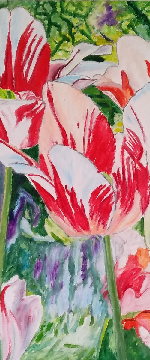 Tulips in the garden by Isabelle Lucas