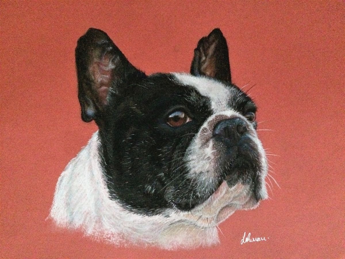 Frenchie by Lorraine Newman