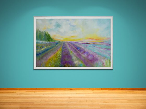 Lavender Fields 2026