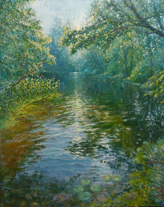 Where the Light settles