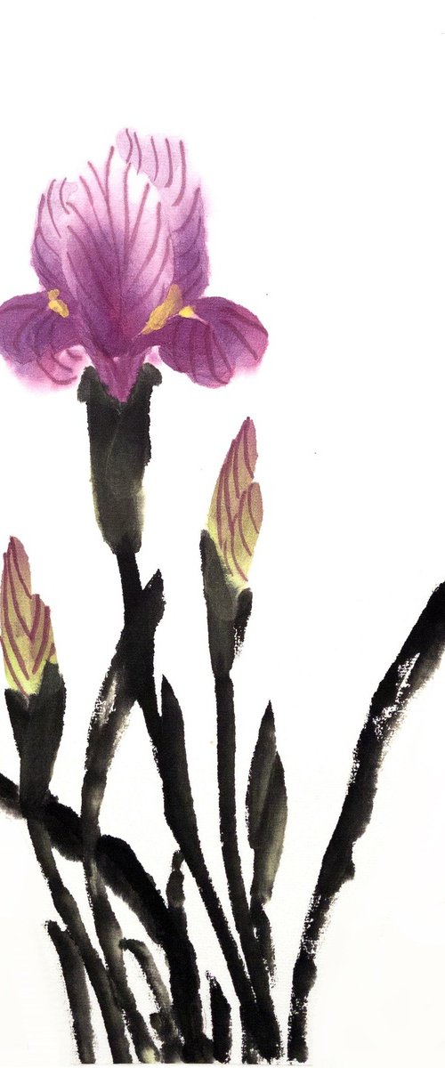 Purple Desert Sand Irus by Ilana Shechter