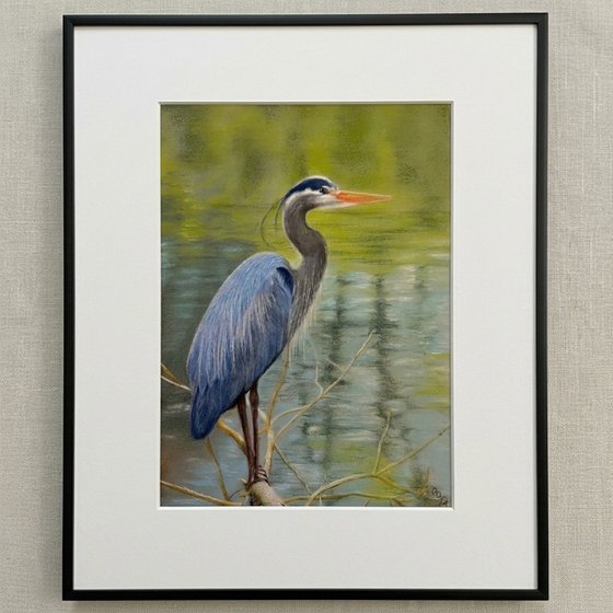 Azure Elegance: Heron in the Sebino Wetlands