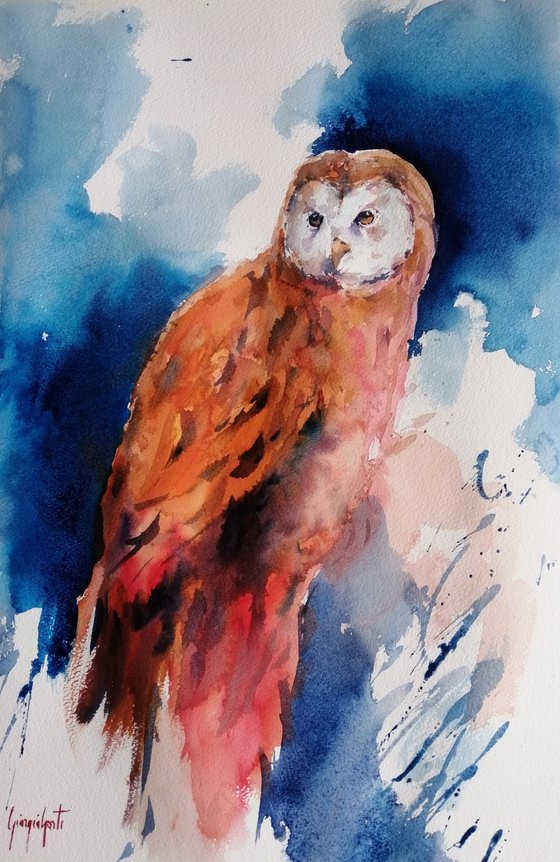 owl 3