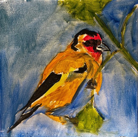 Goldfinch