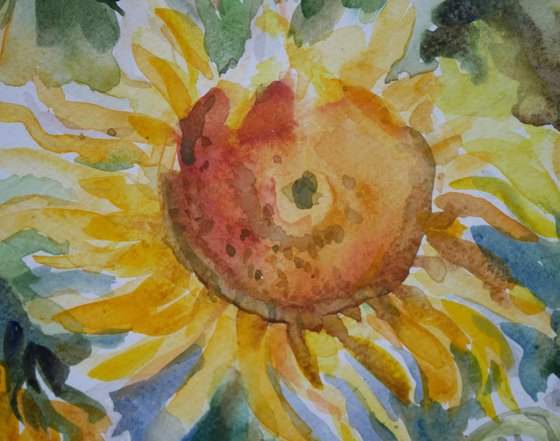 Sunflowers