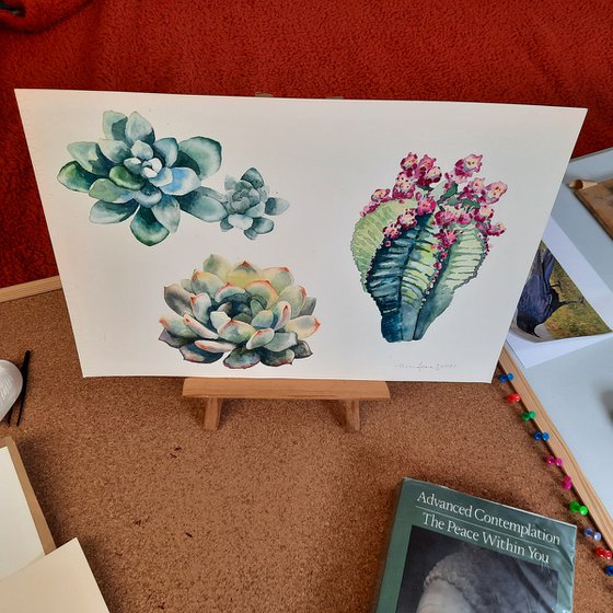 Botanical Cactus Painting - Original Watercolour Cactus
