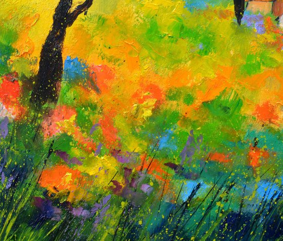 A pinetree in Tuscany