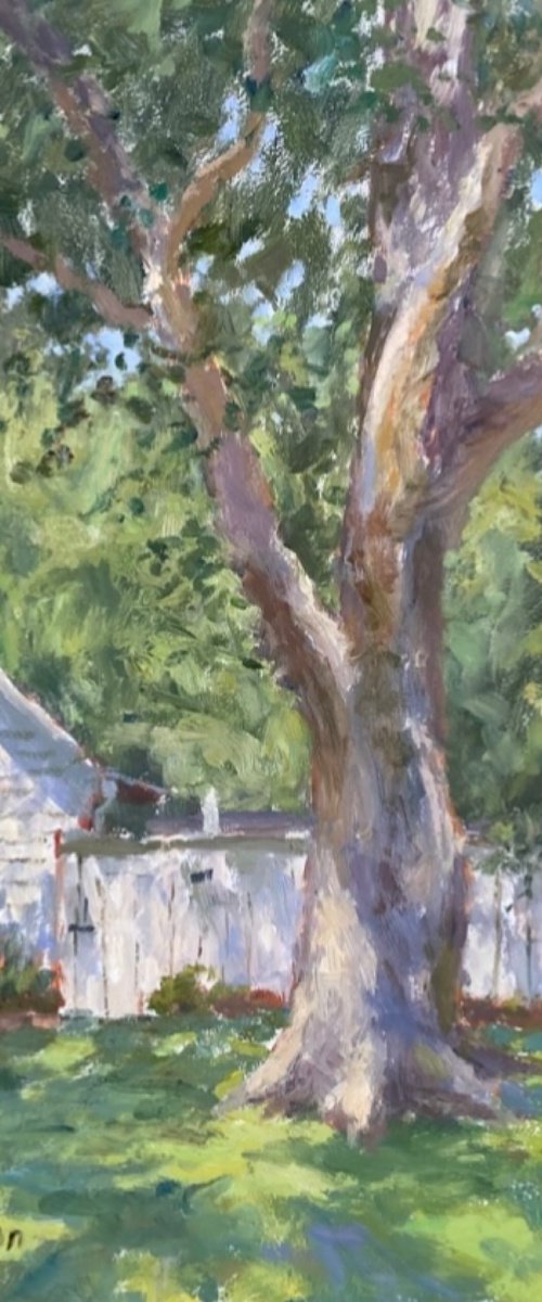 Summer Tree by Thomas Wilson