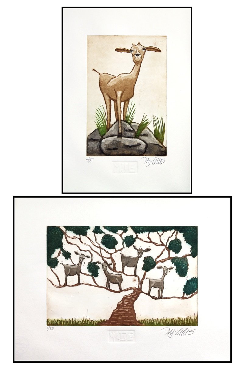 Illustrative Etchings & Engravings , A Set Of Goat Prints By Mariann Johansen-Ellis, 10 X 14, Artwork For Sale On Artfinder