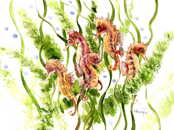 seahorses