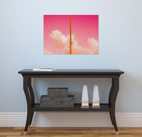 The Pink Half | Limited Edition Fine Art Print 1 of 10 | 60 x 40 cm