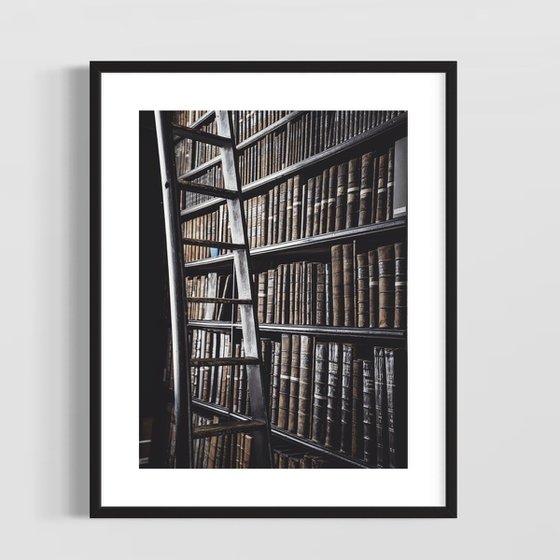 THE BEAUTIFUL LIBRARY