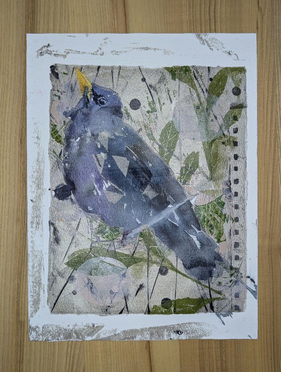 Mixed media starling