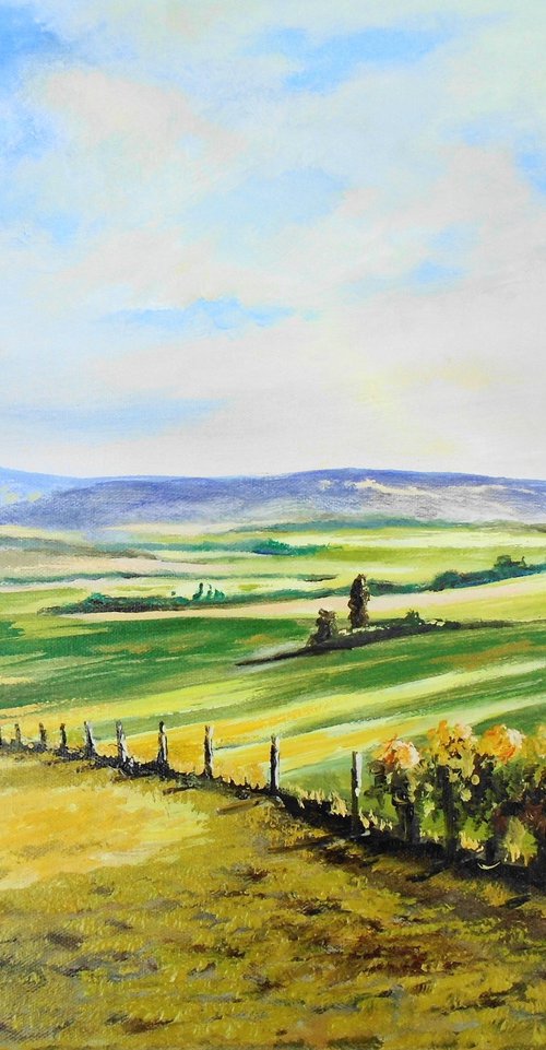 Sunlit Patchwork by Rod Bere