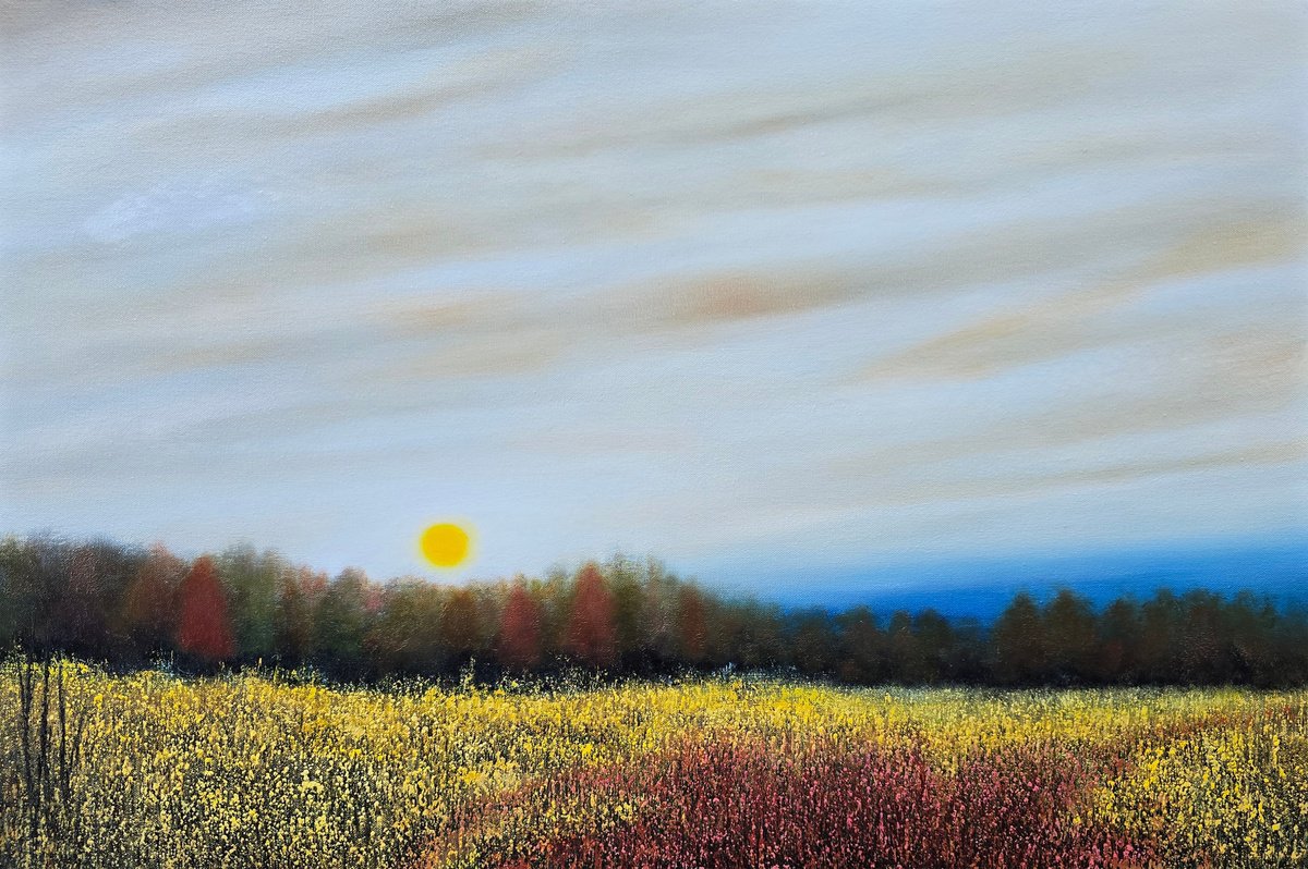 Impressionistic Landscape Oil Painting By Faith Patterson, 36 X 24, Morning By Morning, Original Artwork