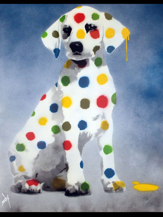 Damien's dotty, spotty, puppy dawg (blue on The Daily Telegraph)