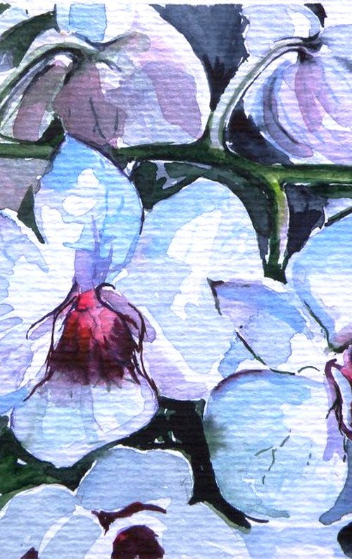 Orchid I by Kovács Anna Brigitta