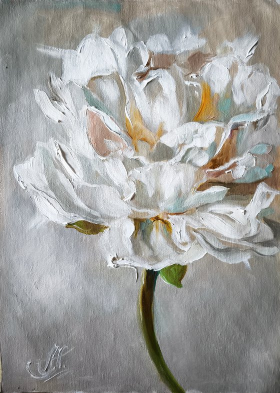 White peonies painting