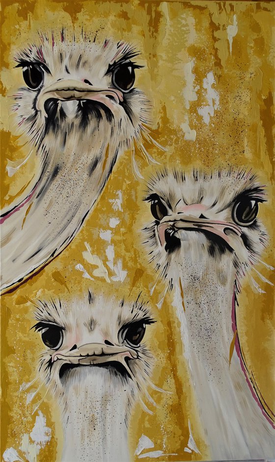 Ostrich family