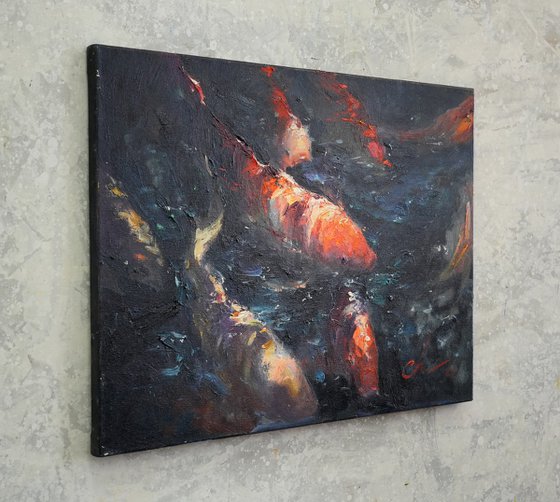 Koi