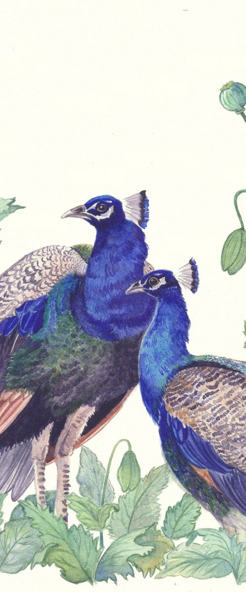 Two Peacocks by Shweta Mahajan