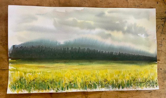 Across the yellow fields