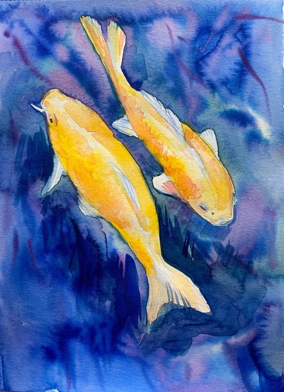 Fish gold koi