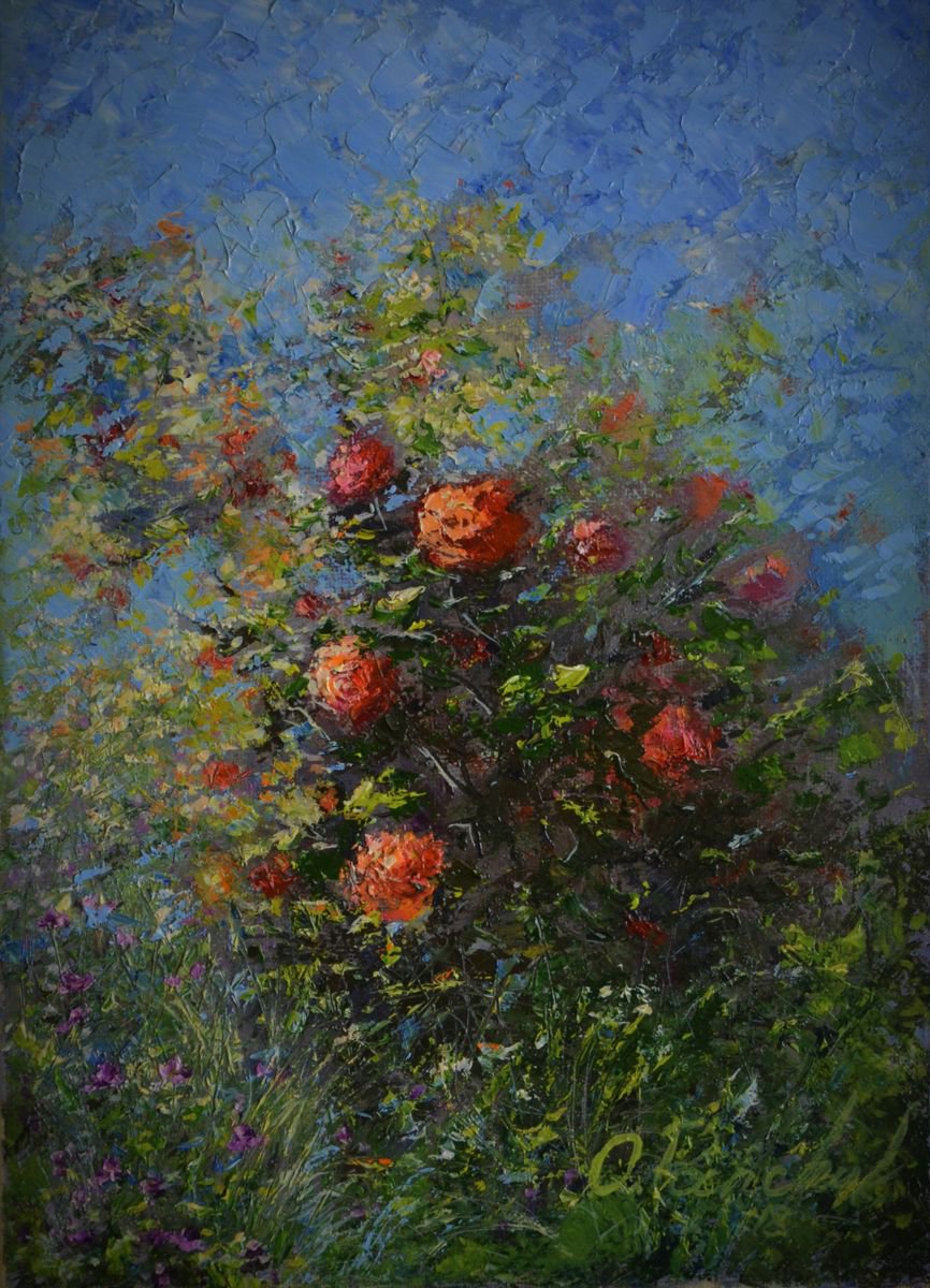 WILD ROSES by Oleg Panchuk