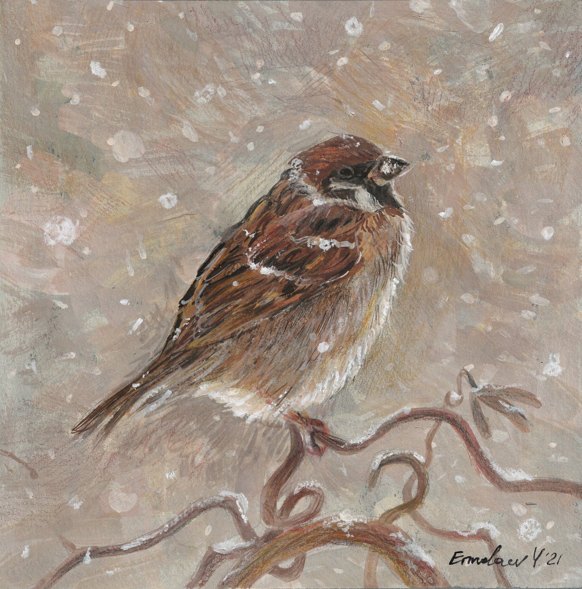 Sparrow by Yuri Ermolaev