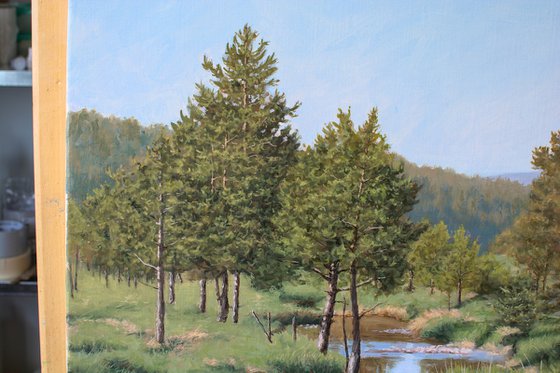 Pine Trees and a Mountain Stream