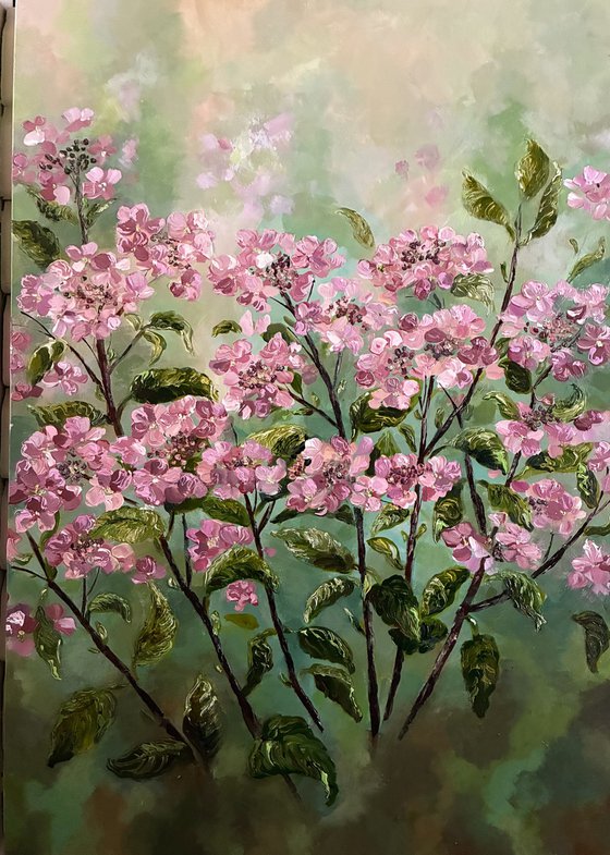 Hortensia Rose