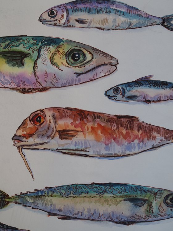 Seafood - original watercolor and ink sketch