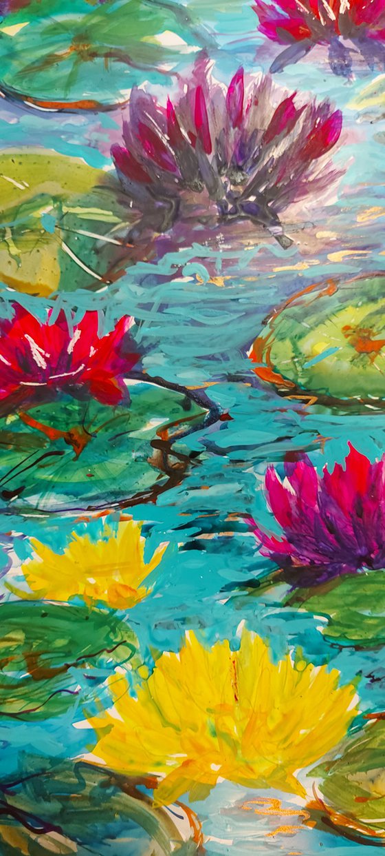 Yellow and pink water lilies