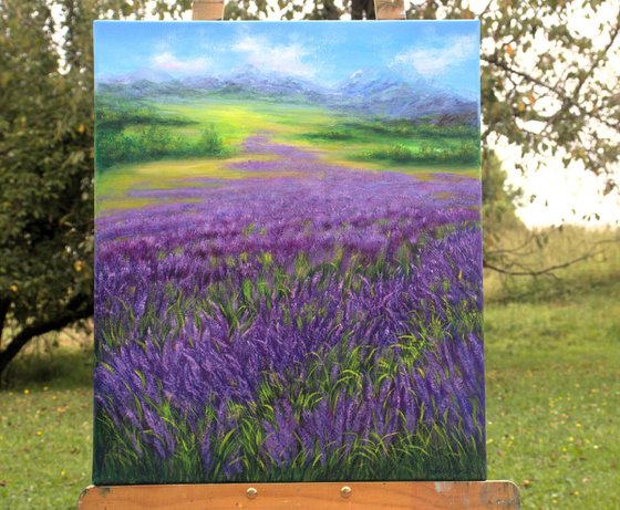 Provence lavender