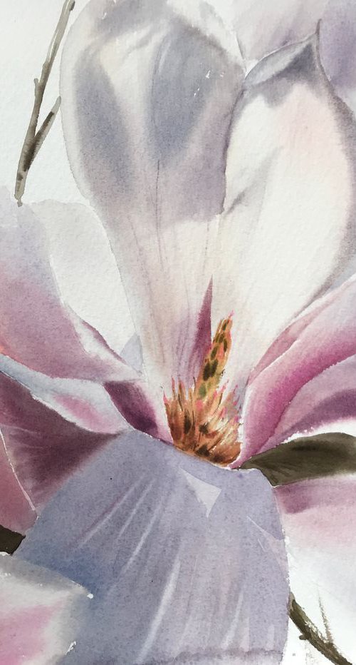 Magnolia Flower by Eugenia Gorbacheva