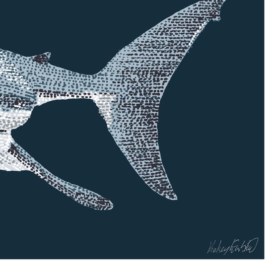 Great White Shark - Stippling Illustration