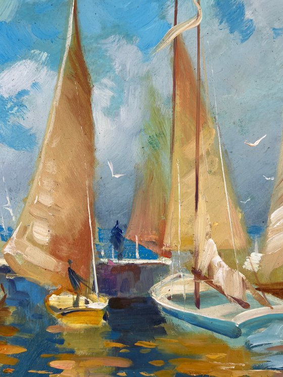 Sailing Boats Moored in Front of the Sea