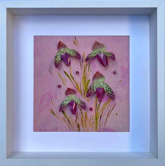 Orchid Reverie-3