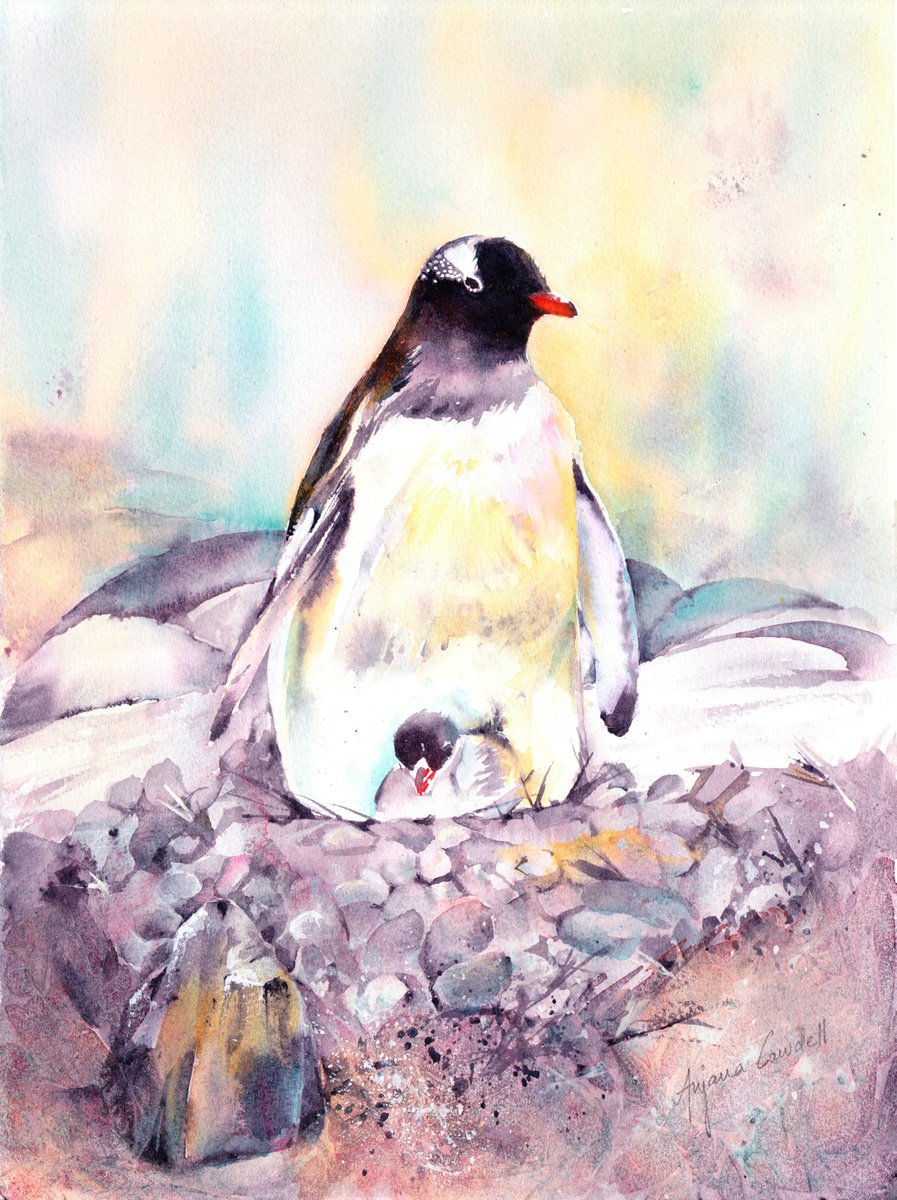 Penguin painting, Penguin and chick, Original Watercolour, Watercolor, Gentoo by Anjana Cawdell
