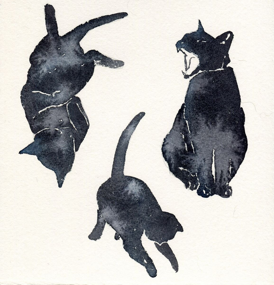 Three Black Cats by Hannah Clark