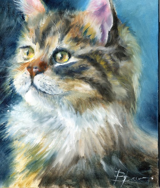 Majestic Longhair Cat