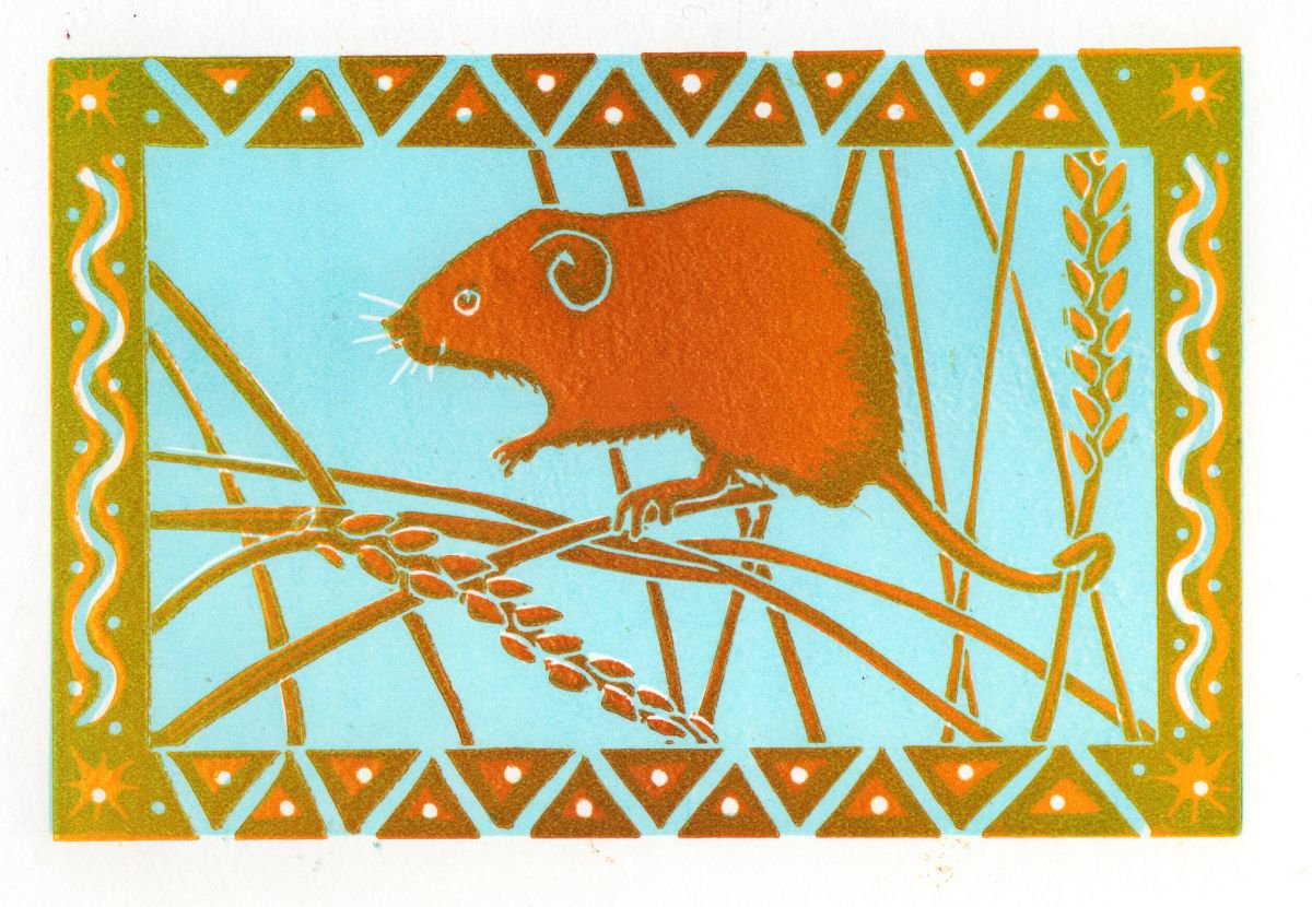 Harvest Mouse by Drusilla  Cole