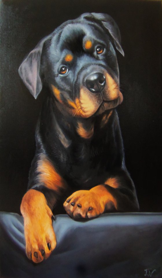 Doggy-2  (40x60cm, oil painting, ready to hang)