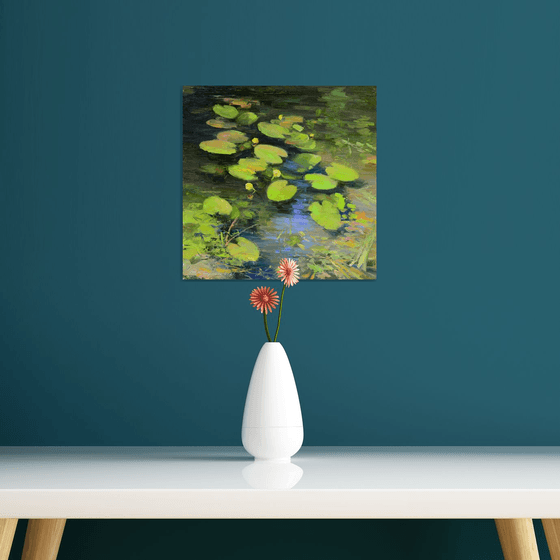 Water lilies by the shore