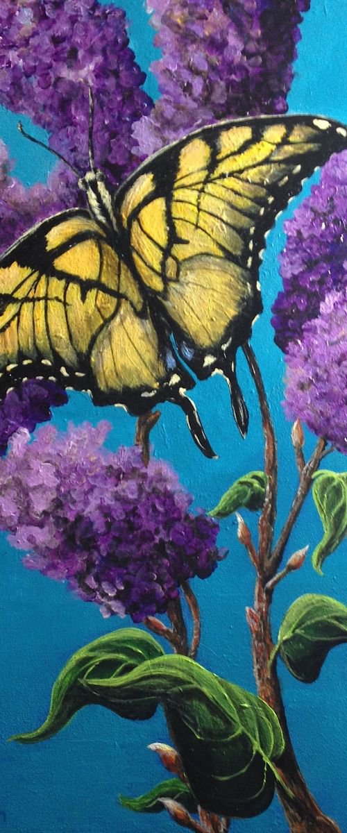 Swallowtail on Lilacs by Donna Daniels