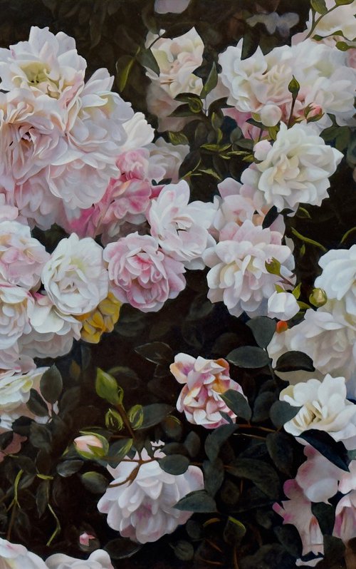 Aglow in the Night. by Vera Higgins