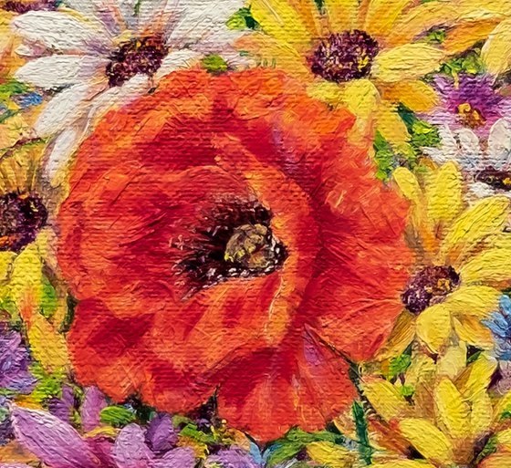 Wild Poppies & Daisies